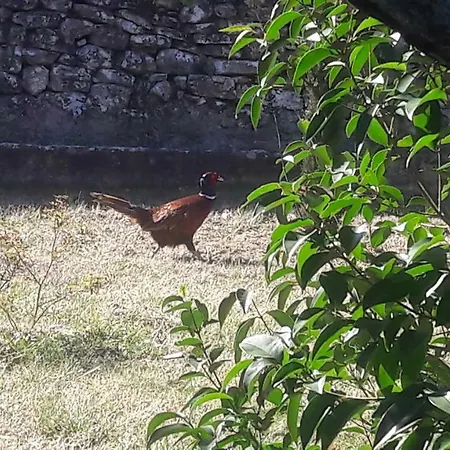 Bastide De Fanny